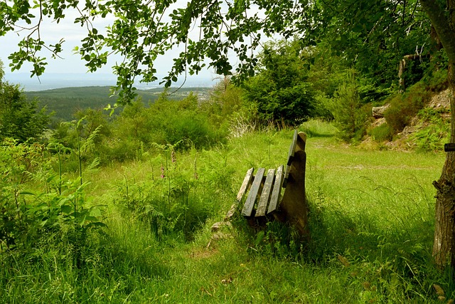 得分压力 得分压力