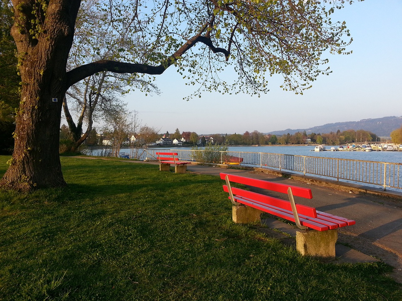 数据与展望 数据与展望