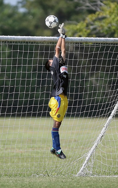 年主帅加斯 年主帅加斯