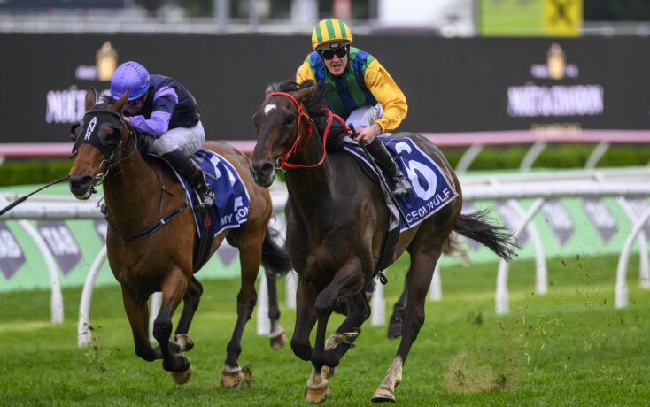 这些都为老 这些都为老